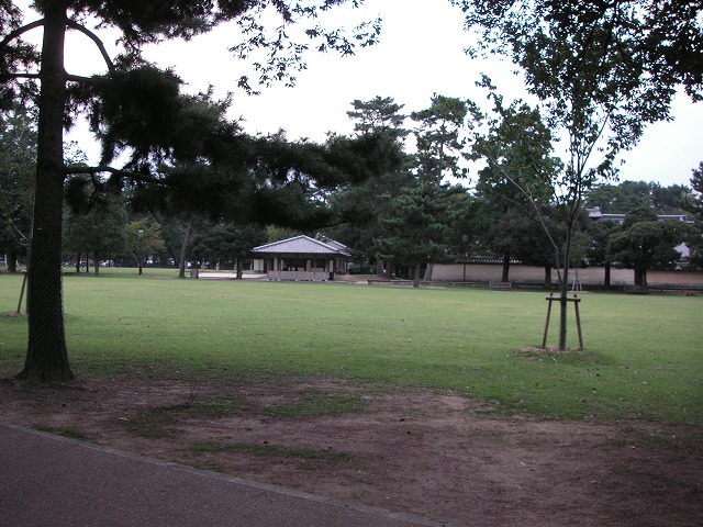 2111s.jpg