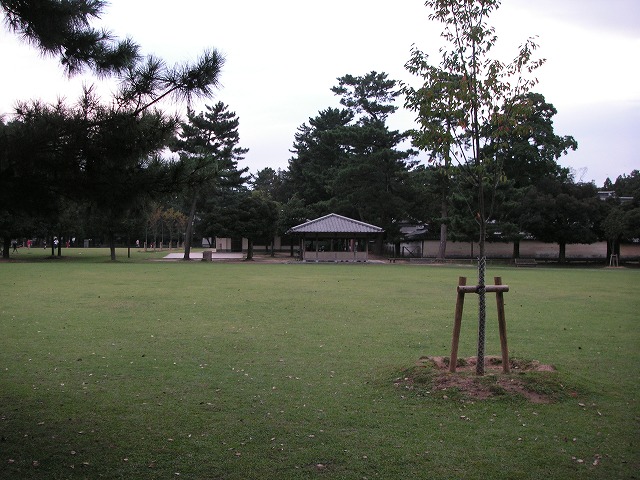 2115s.jpg
