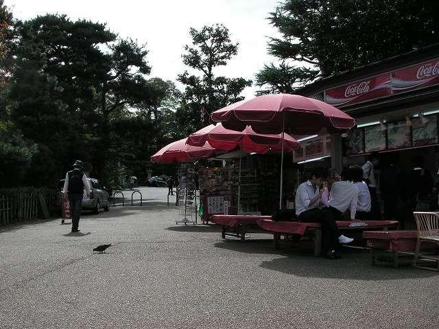 2149s.jpg