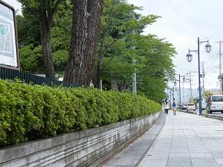 11009s.jpg 800x600 241KB 