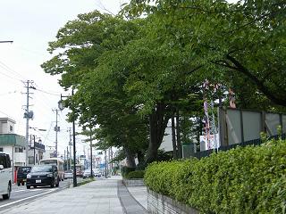 11012s.jpg 800x600 242KB 