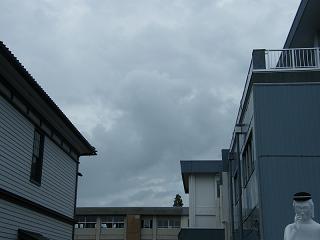 05003s.jpg 800x600 87KB 