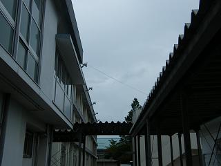 08045s.jpg 800x600 89KB 