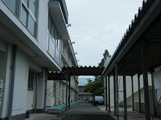 08048s.jpg 800x600 119KB 