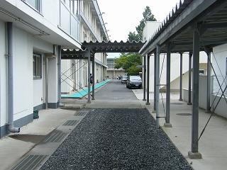 08058s.jpg 800x600 179KB 