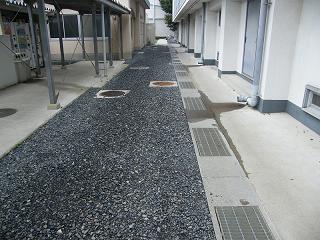 08067s.jpg 800x600 222KB 