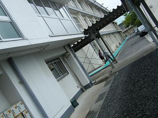 08071s.jpg 800x600 186KB 