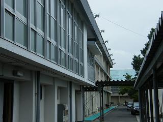 12046s.jpg 800x600 132KB 