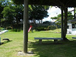 06009s.jpg 800x600 224KB 