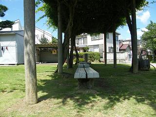 06010s.jpg 800x600 226KB 