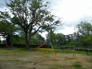 T05003s.jpg 800x600 250KB 