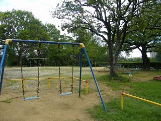 T05020s.jpg 800x600 271KB 