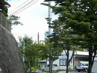 01030s.jpg 800x600 232KB 