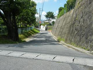 01032s.jpg 800x600 241KB 