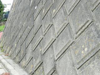 01036s.jpg 800x600 261KB 