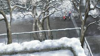 02003.jpg 512x288 63KB 