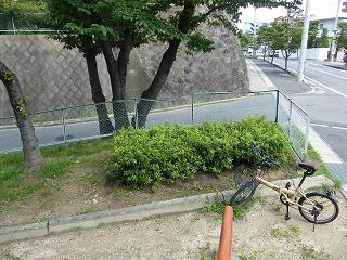 02003s.jpg 800x600 278KB 