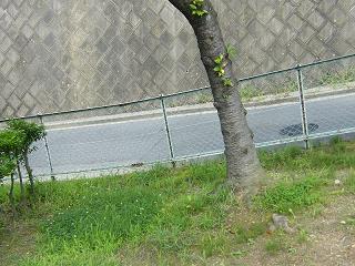 02007s.jpg 800x600 253KB 