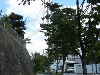 02008s.jpg 800x600 215KB 