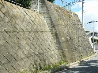 03007s.jpg 800x600 254KB 