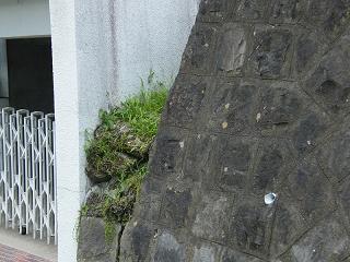 03011s.jpg 800x600 214KB 