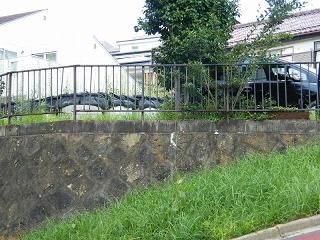 03014s.jpg 800x600 252KB 