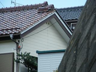 03016s.jpg 800x600 170KB 