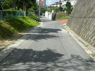 03017s.jpg 800x600 235KB 