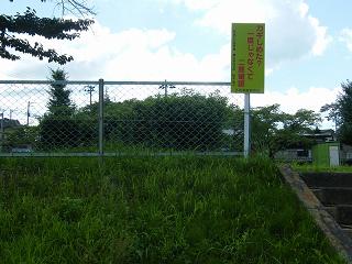 03019s.jpg 800x600 196KB 