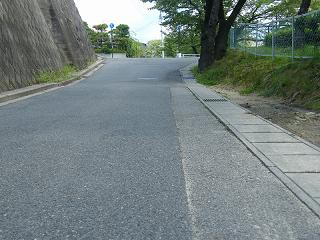 06002s.jpg 800x600 228KB 