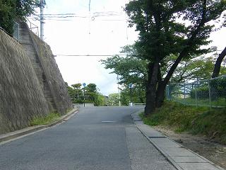 06003s.jpg 800x600 218KB 