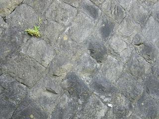 06004s.jpg 800x600 261KB 