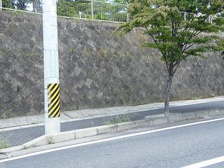 07036s.jpg 800x600 243KB 