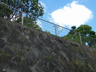 07037s.jpg 800x600 214KB 