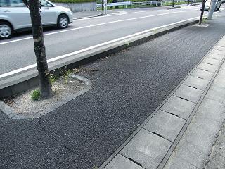 07039s.jpg 800x600 251KB 