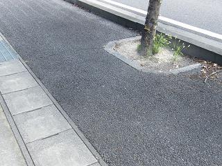 07042s.jpg 800x600 274KB 