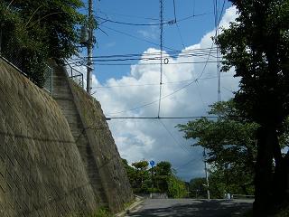 09042s.jpg 800x600 192KB 