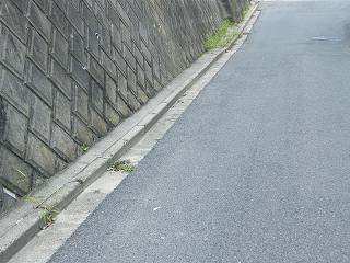 09045s.jpg 800x600 225KB 