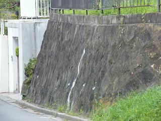 09048s.jpg 800x600 189KB 