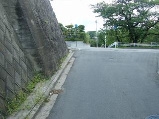 09049s.jpg 800x600 209KB 