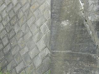 10003s.jpg 800x600 243KB 