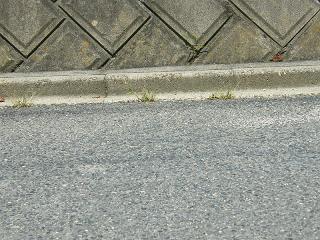 10005s.jpg 800x600 264KB 