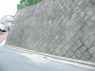 10006s.jpg 800x600 231KB 