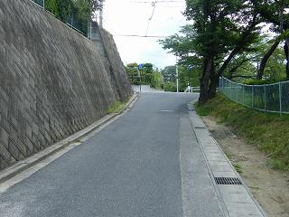 10008s.jpg 800x600 217KB 