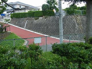 10011s.jpg 800x600 270KB 