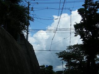 10013s.jpg 800x600 154KB 