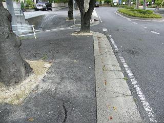 01014s.jpg 800x600 268KB 