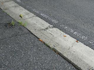 01015s.jpg 800x600 293KB 