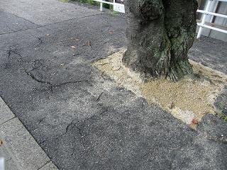 01017s.jpg 800x600 302KB 