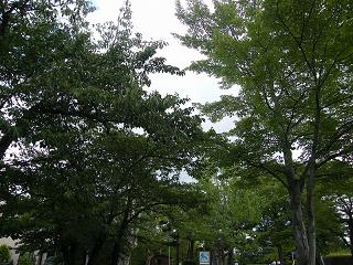 01018s.jpg 800x600 295KB 